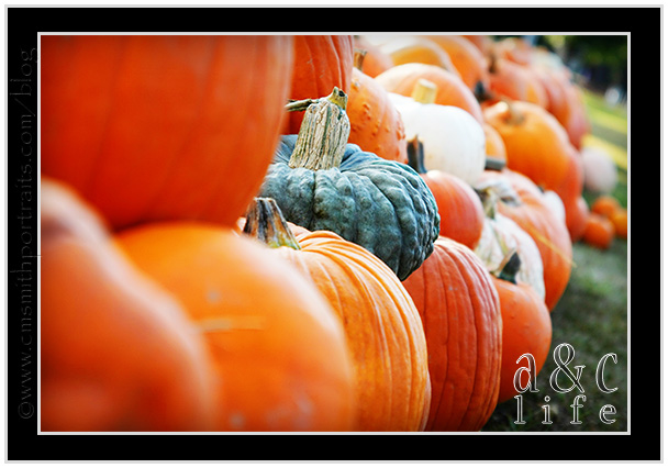 09_27_09pumpkinsFB-019 09_27_09pumpkinsFB-019